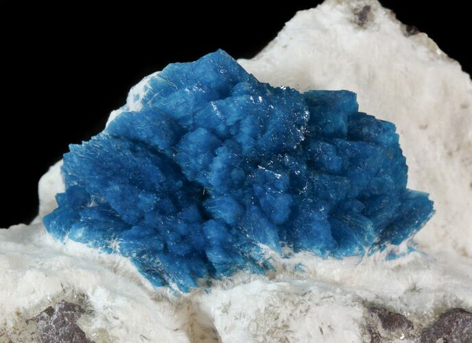 Beautiful Blue Cavansite Crystals on Mordenite - India #43834